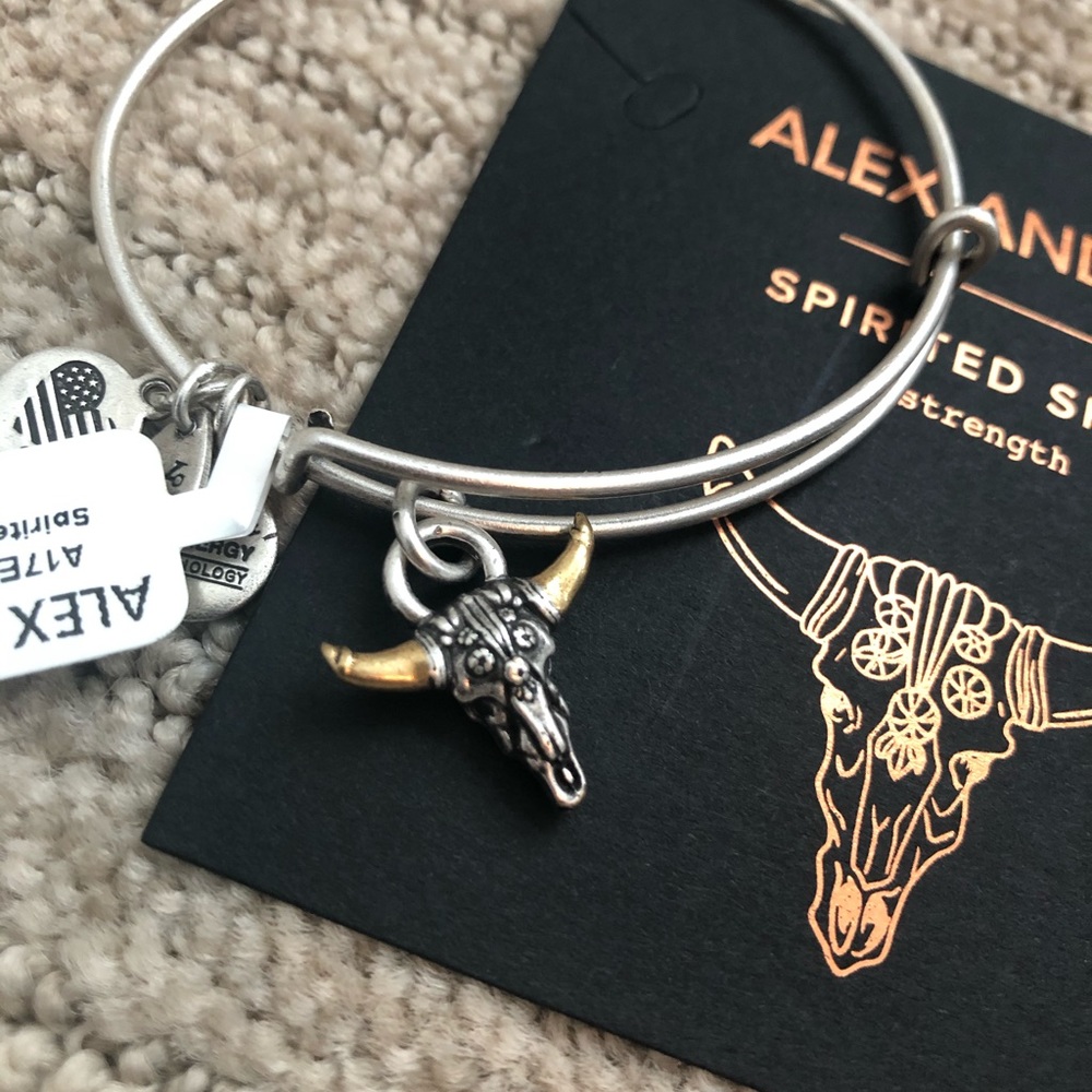 NWT! Alex and Ani Spirited Skull charm bracelet - Picture 3 of 4